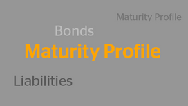 Financing Strategy and Maturity Profile