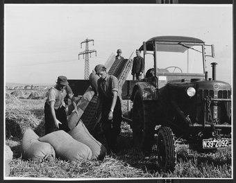 Steilförderband in der Landwirtschaft, 05/1956