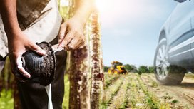 More Sustainable Tires: Continental Increases Share of Renewable and Recycled Materials