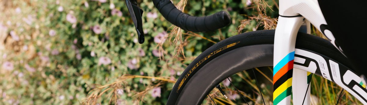 Continental AG