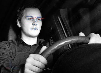 Cruising Chauffeur: Driver Analyzer