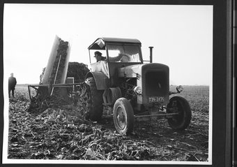 Steilförderband in der Landwirtschaft 05/1956