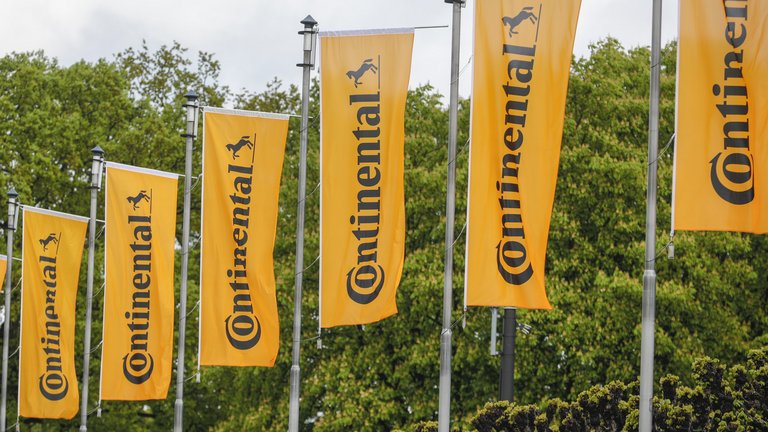 Shareholder Structure | Continental - Continental AG