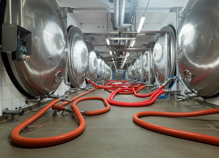 Continental_pp_Oettinger_hose