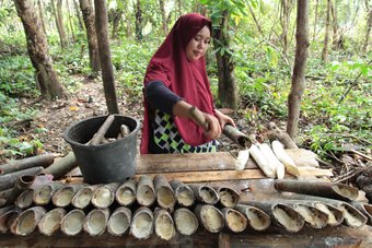 Sustainable Rubber Supply Chain4_Continental_GIZ Canopy Indonesia