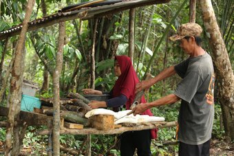 Sustainable Rubber Supply Chain5_Continental_GIZ Canopy Indonesia
