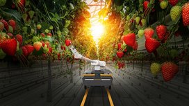 Continental entwickelt Softwarelösungen für mobile Roboter und setzt dabei auf Amazon Web Services