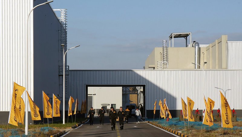 Photo of the new plant