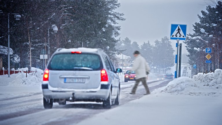 Winter