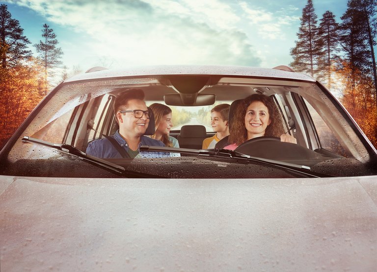 Wiperblades Family